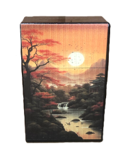 Etui à paquet de cigarettes