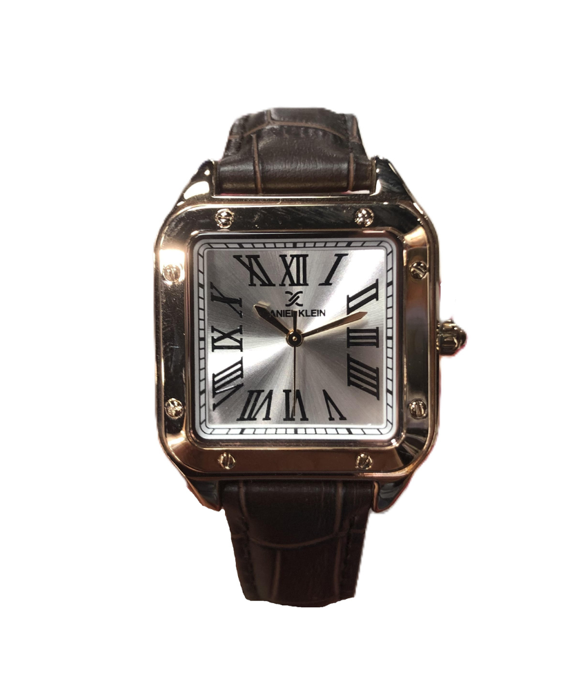 Montre Daniel Klein femme marron