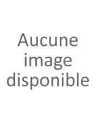 Fête des Mères